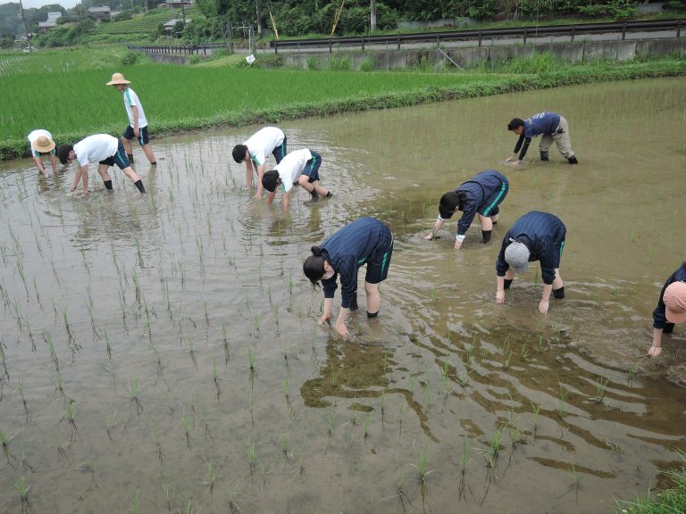 除草